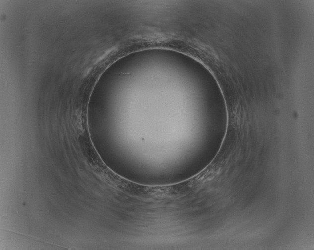 X0000073871205200608170959