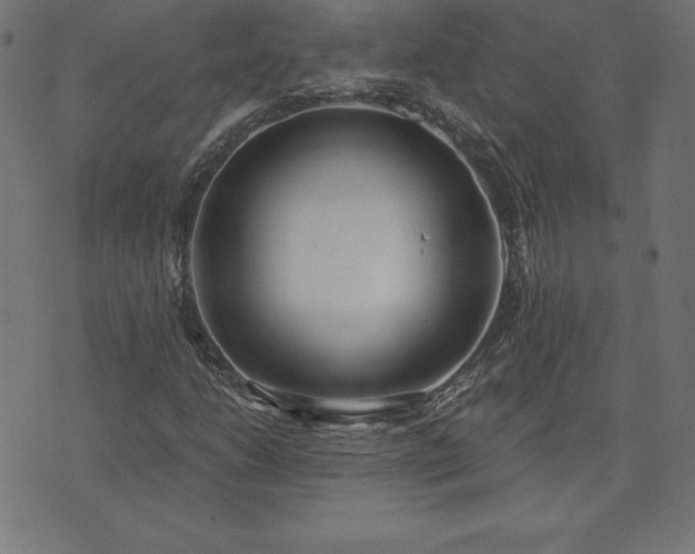 X0000073871206200608170959