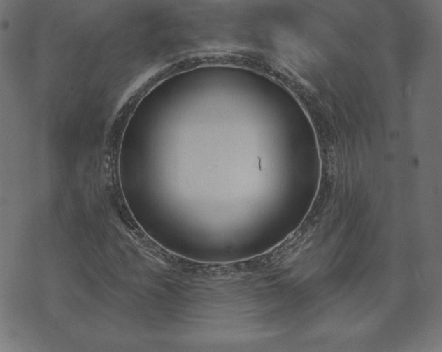 X0000073871208200608170959