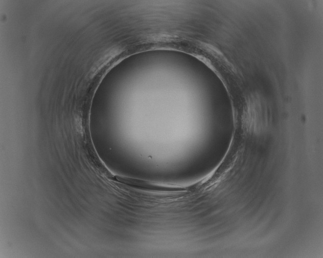 X0000073871209200608170959