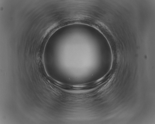 X0000073871210200608170959