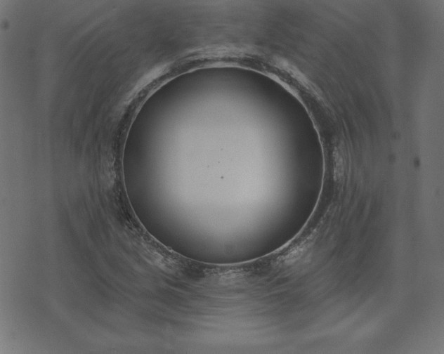 X0000073871213200608170959