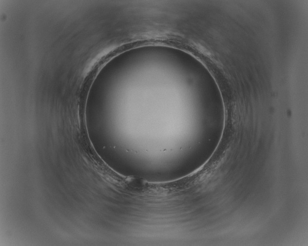 X0000073871214200608170959