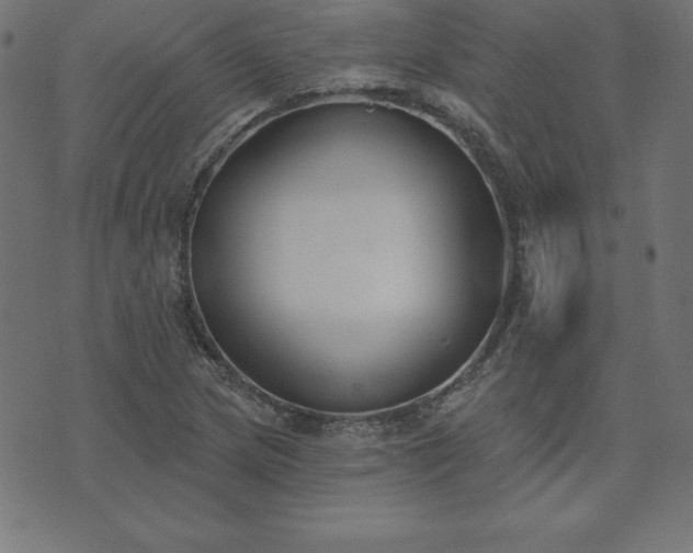 X0000073871217200608170959