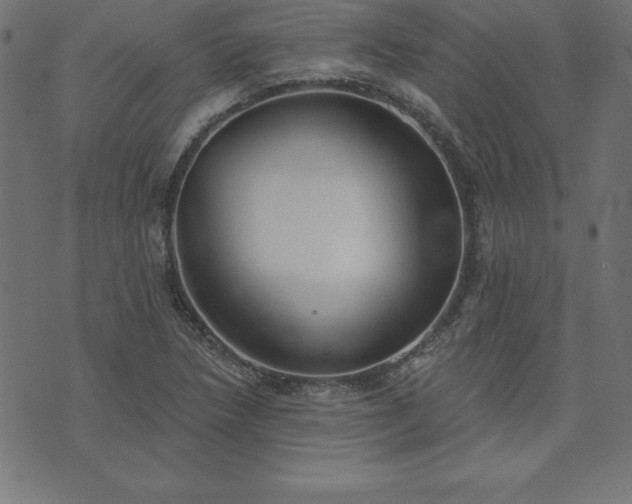 X0000073871218200608170959