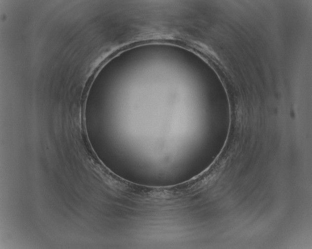 X0000073871220200608170959