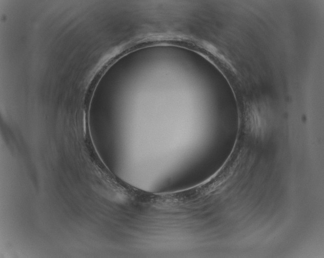 X0000073871221200608170959