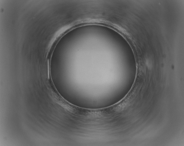 X0000073871223200608170959