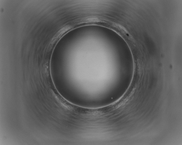 X0000073871225200608170959