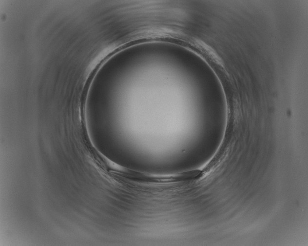 X0000073871226200608170959