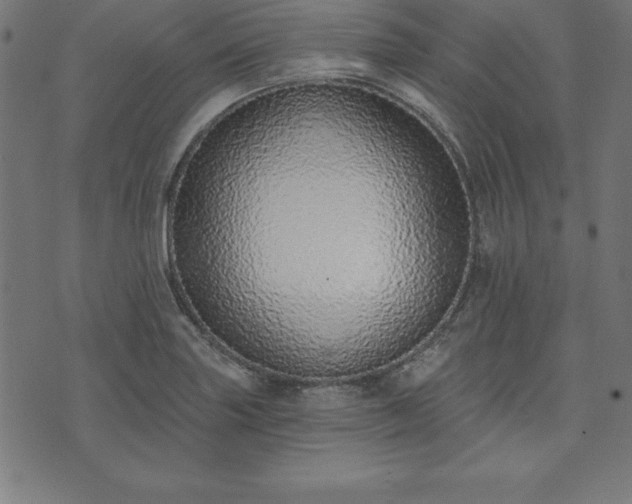 X0000073871227200608170959