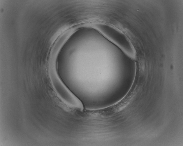 X0000073871230200608170959