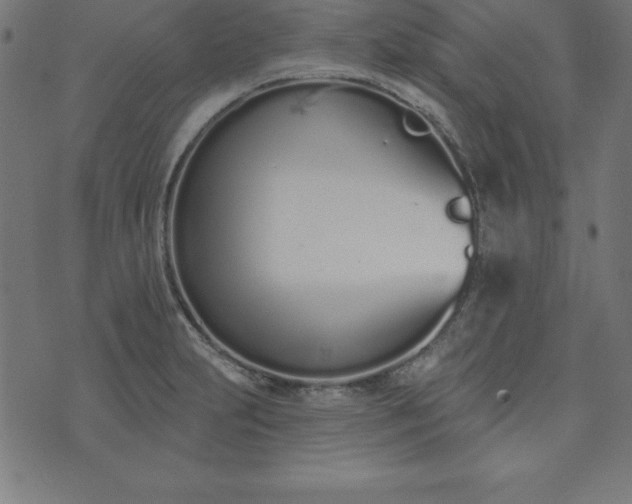 X0000073871231200608170959