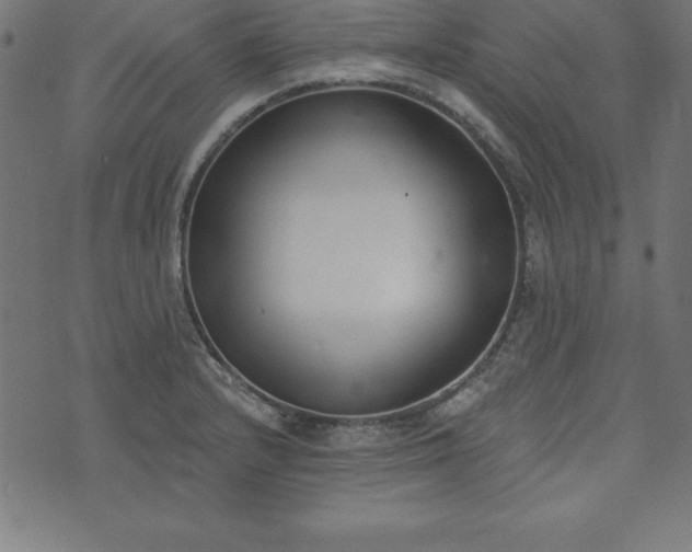 X0000073871232200608170959