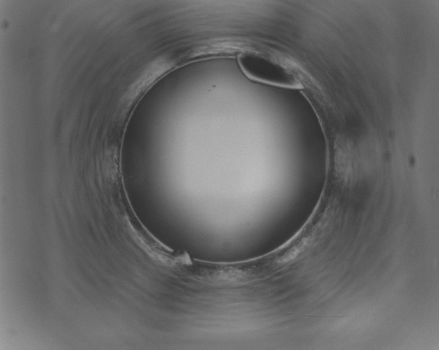 X0000073871233200608170959