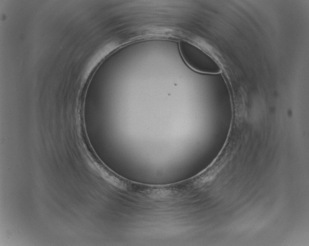 X0000073871235200608170959