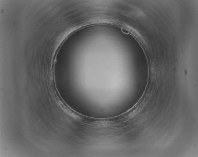 X0000073871236200608170959