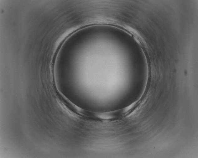 X0000073871238200608170959