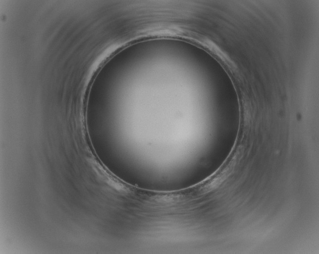 X0000073871240200608170959