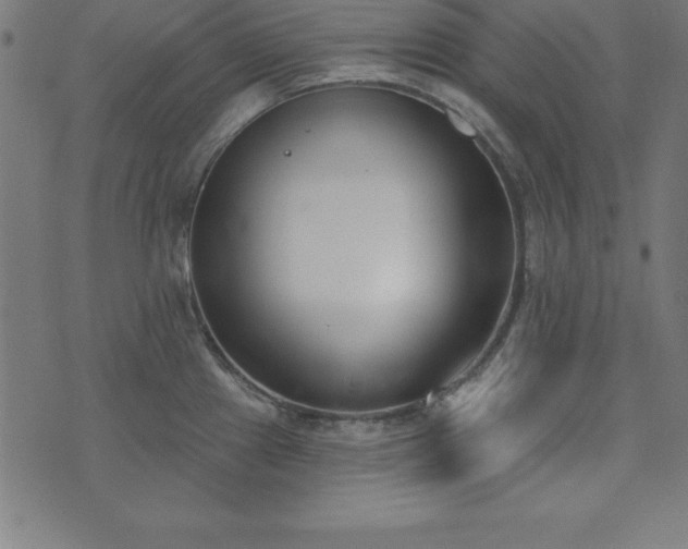 X0000073871241200608170959