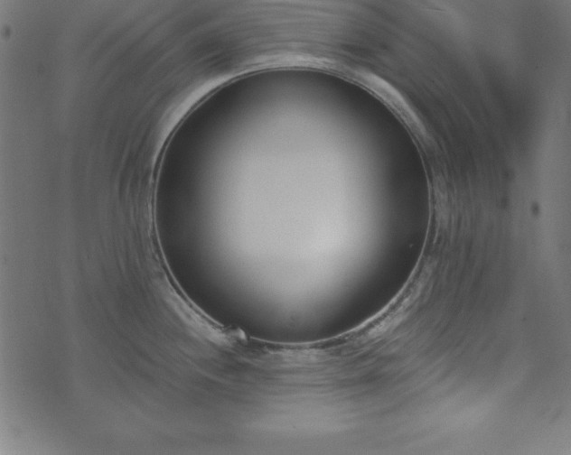 X0000073871244200608170959