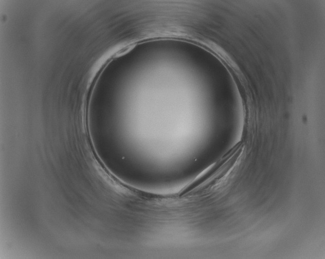 X0000073871246200608170959