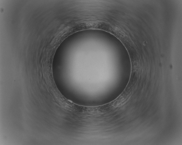 X0000073871249200608170959