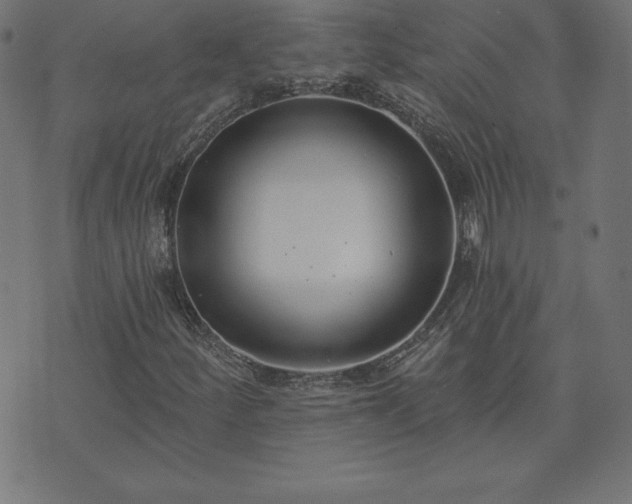 X0000073871252200608170959