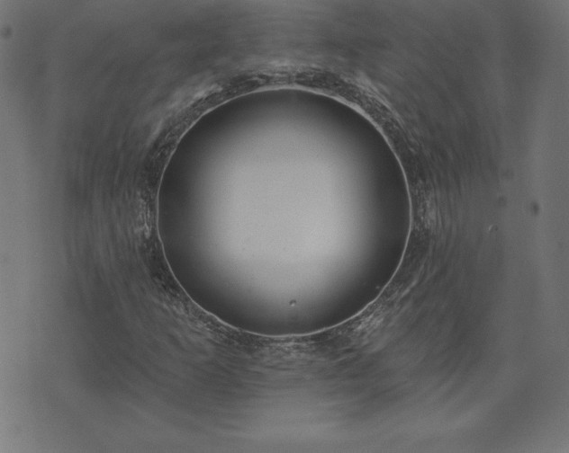 X0000073871253200608170958