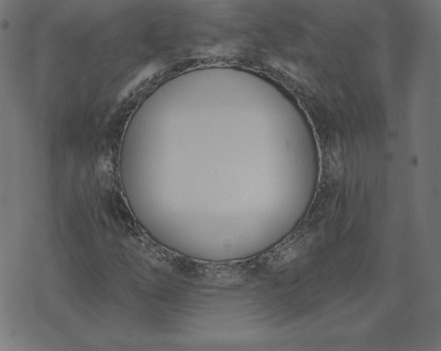 X0000073871254200608170958