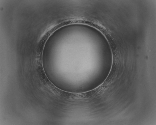 X0000073871255200608170958