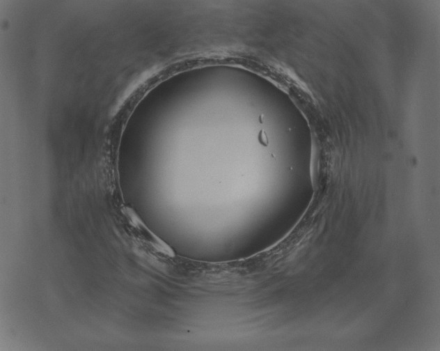 X0000073871256200608170958