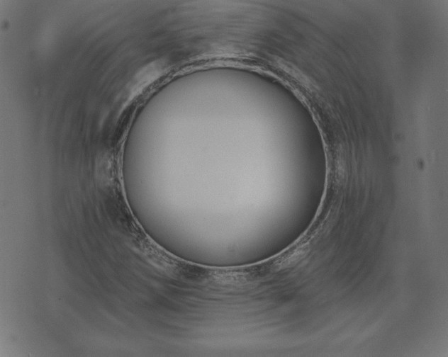 X0000073871258200608170958