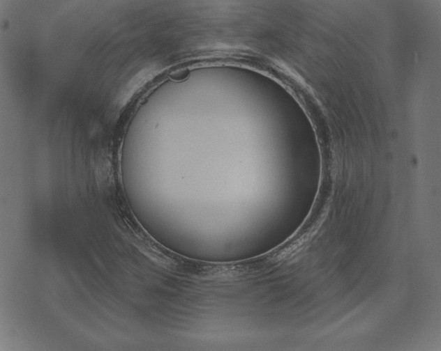 X0000073871259200608170958