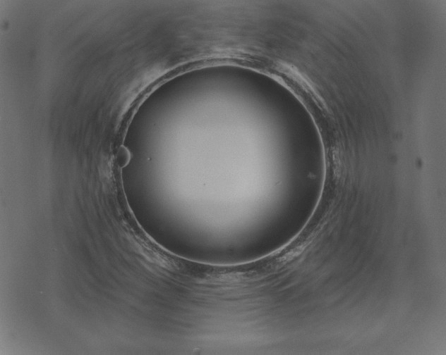 X0000073871260200608170958