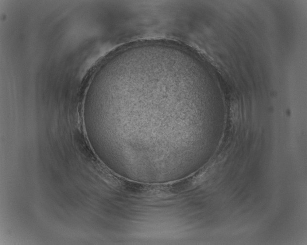 X0000073871262200608170958