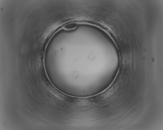 X0000073871263200608170958