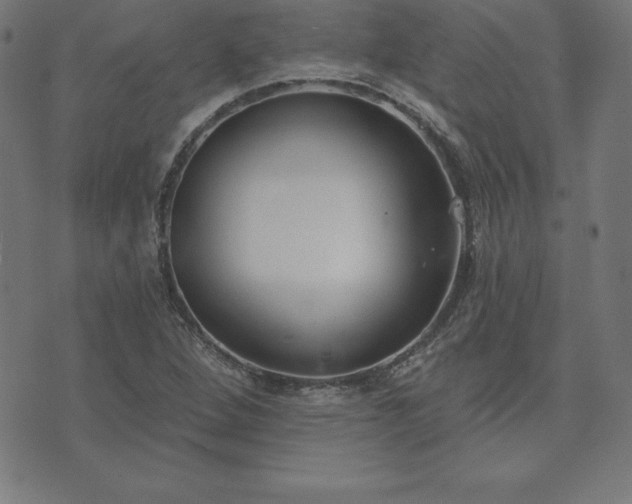 X0000073871264200608170958