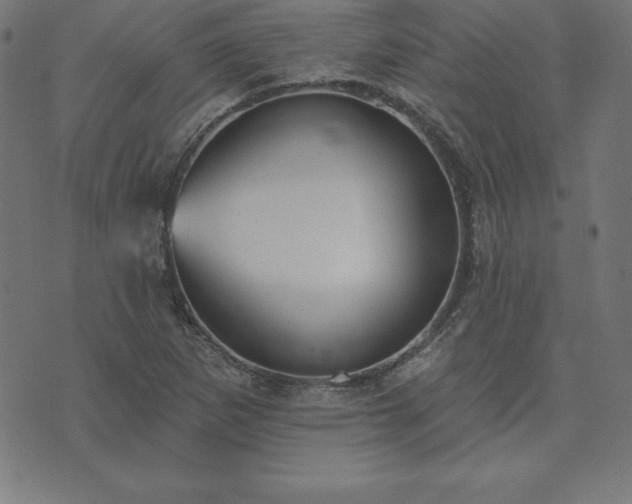 X0000073871265200608170958