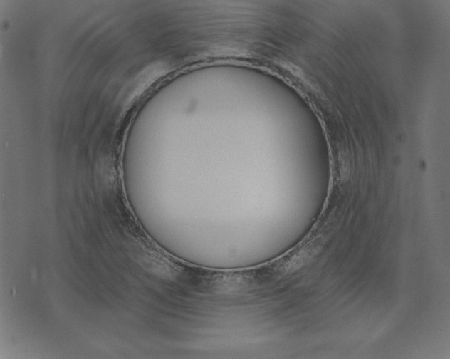 X0000073871266200608170958