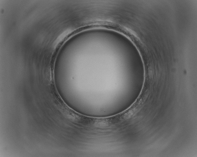 X0000073871267200608170958