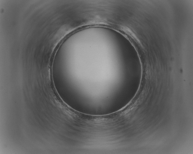 X0000073871268200608170958