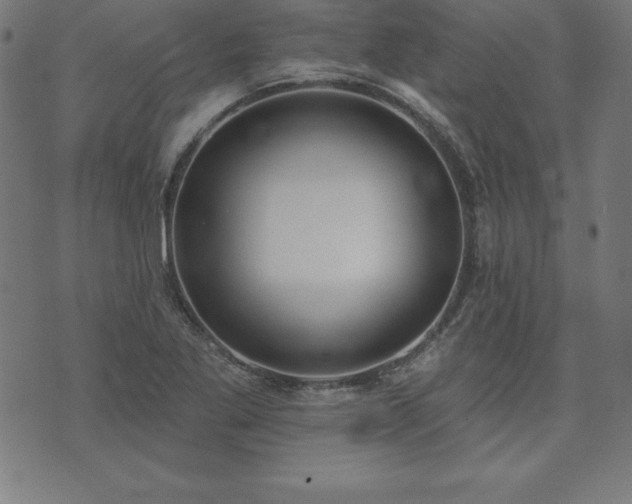 X0000073871269200608170958