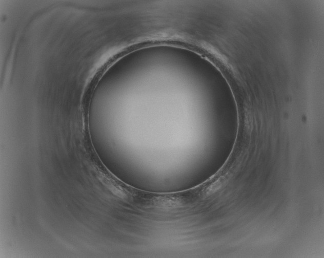 X0000073871270200608170958