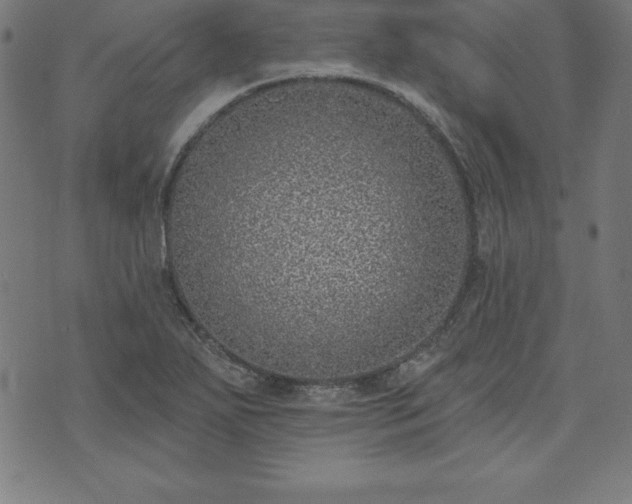 X0000073871271200608170958