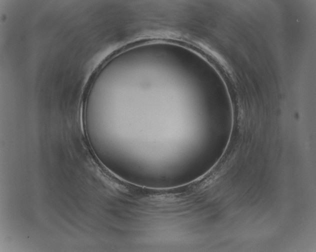 X0000073871272200608170958