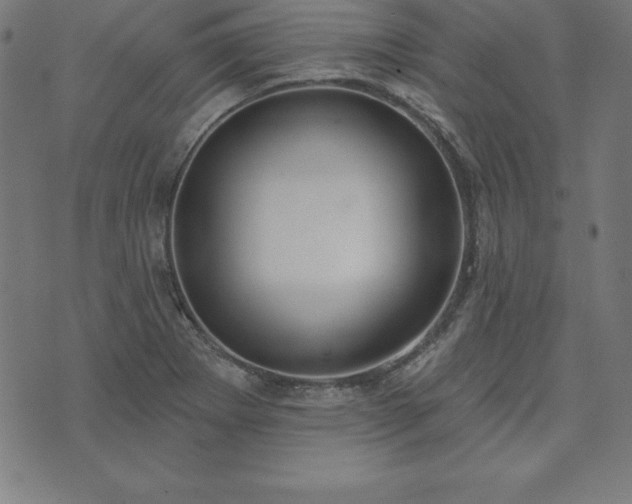 X0000073871273200608170958