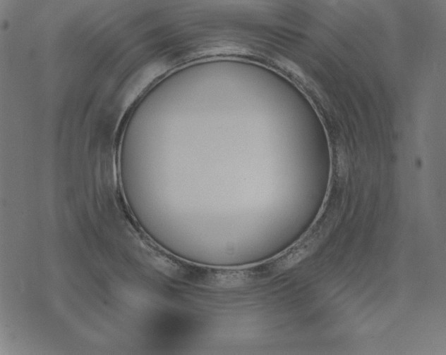 X0000073871274200608170958