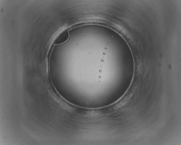 X0000073871275200608170958