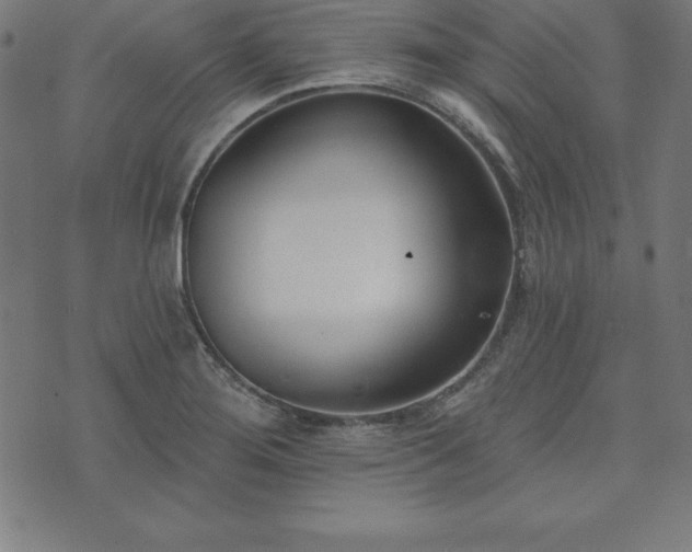 X0000073871276200608170958